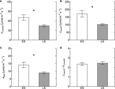 Contrasting Dependencies of Photosynthetic Capacity on Leaf Nitrogen in Early- and Late-Successional Tropical Montane Tree Species